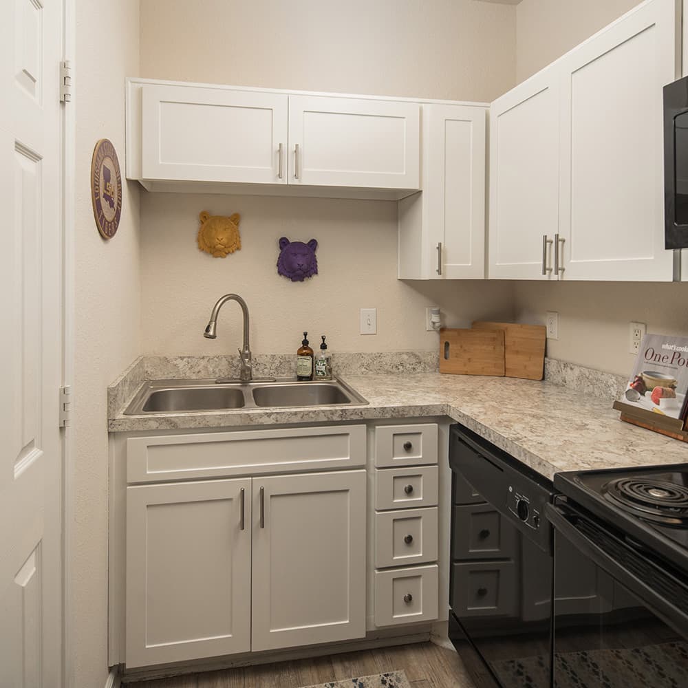 Model—RBS—The-Oliver–6